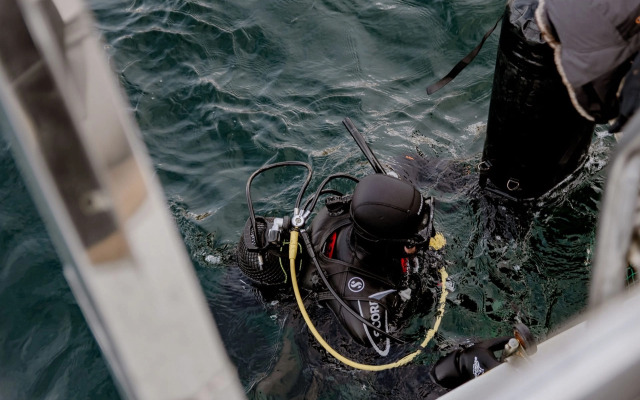 Гостевой дом усадьба Канентъявр