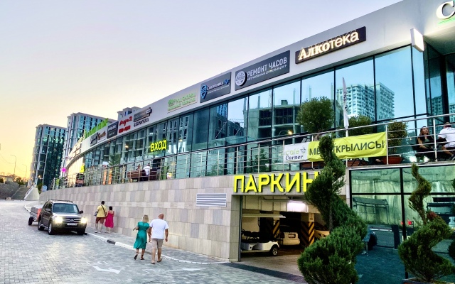 Sochi Park Flat