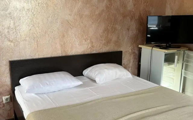 Viktor I Ya Guest House