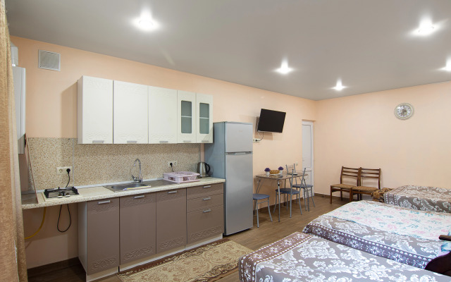 Studiya 38 M2 utopayuschiy v Zeleni Private House