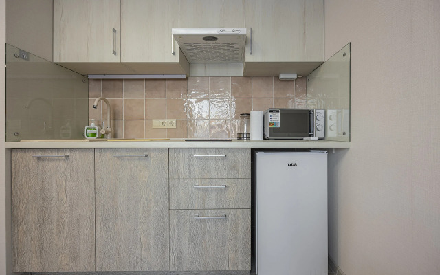 Квартира улучшенная в центре города студия