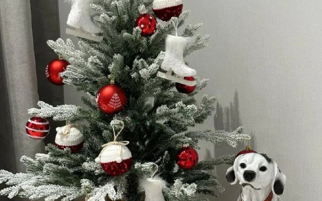 Апартаменты Круэлла сети Аpartic на Куйбышева