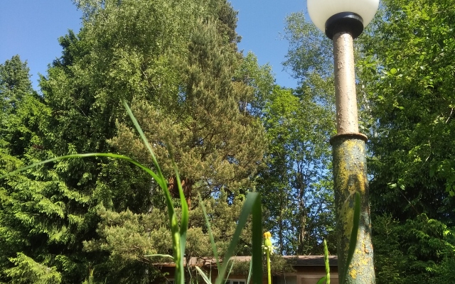 "Vinnaya Derevnya" Glamping