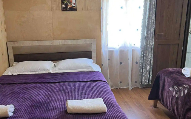 Old Omalo Guest house