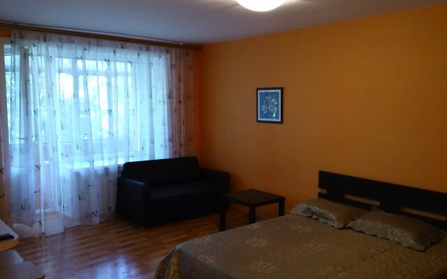 On Day na Chelyuskintsev 14 One-Bedroom Apartments