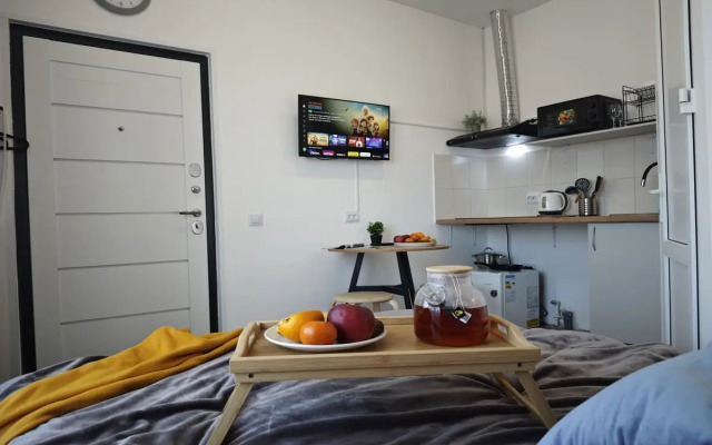 Квартира Студия на 2х на Тухачевского 49/1-15