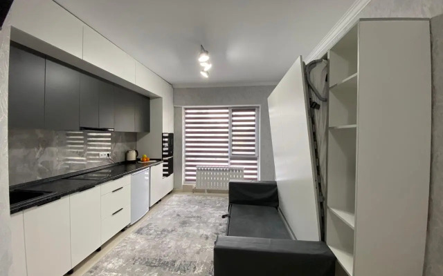 Best House Almaty Flat