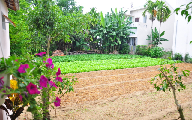 Petunia Garden Homestay Guest House