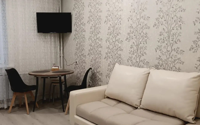Apartamenty uyutnaya studiya ryadom s aeroportom Koltsovo Flat