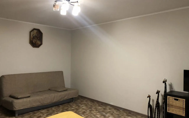 Апартаменты 58 на улице Елизаровых 15/1