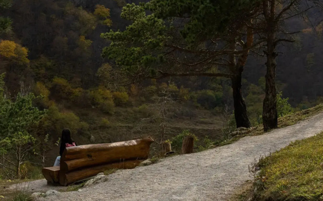 Отель Forrest Terrace