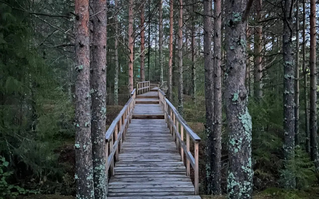 Частный дом на улице Ленина 45А