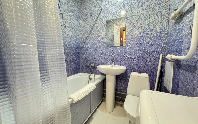 Апартаменты Batasheva Apart