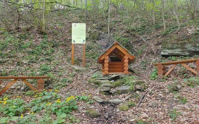 House With Mountain Views