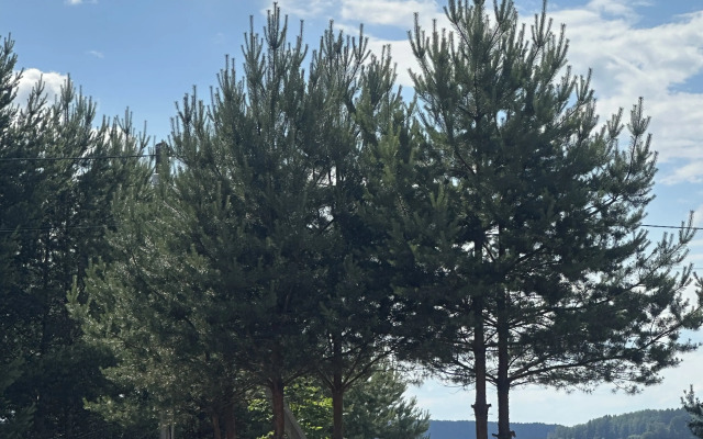 Гостевой дом Ссылканаозеро