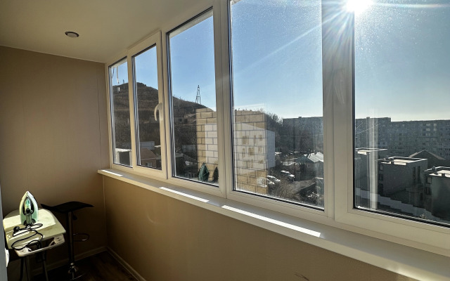 Апартаменты однокомнатны на Толстого