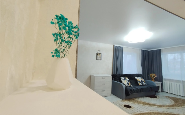 Dvukhkomnatnye novye v tsentre Apartments