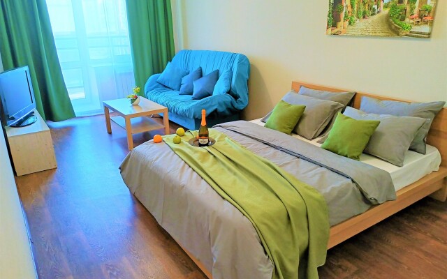 One-room RusDom near the recreation center Rodina Apartments