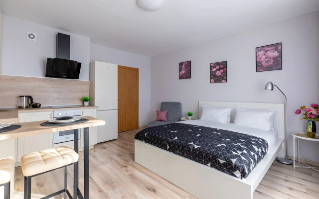 Квартира Живи в Песочном Студия Садовая 83