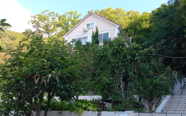 Zelyonaya Gora Guest house