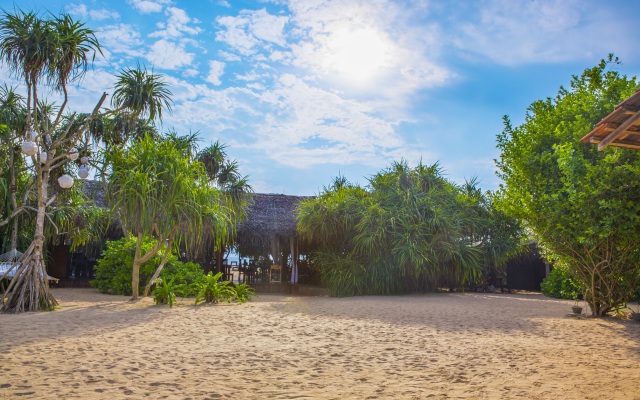 Jungle Beach Camp Ahungalla Hotel