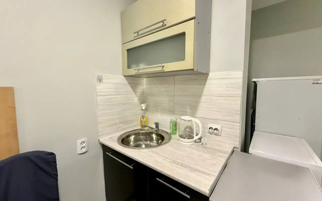 Uyutnaya Na Krylova Flat