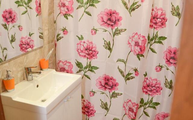 Sheremet'evo-Aleksandriya Guest House