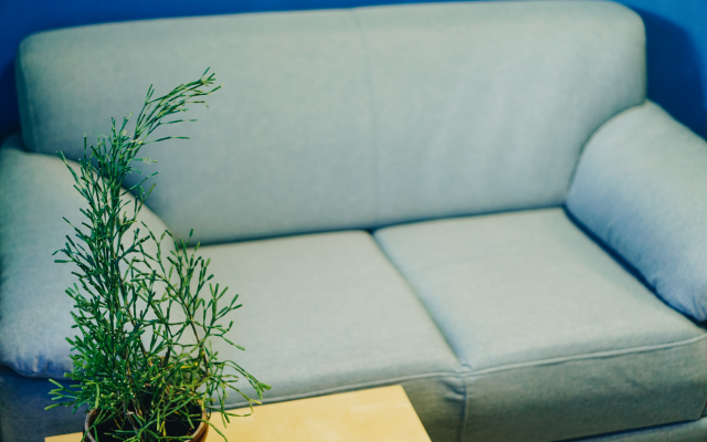 Меблированные комнаты Норка