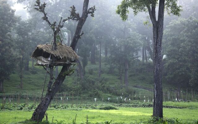 Moon Hill Resort Munnar ( Nature Retreat )