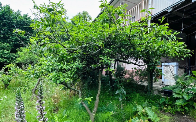 Private house Sukhumskoye Shosse 90 "pod Klyuch"