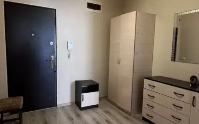 Квартира на Александра Покрышкина 2/2 76