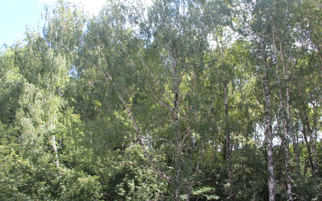 Blesk Mini-Hotel