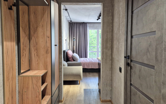 Studiya Loft Zhk Letniy Apartments
