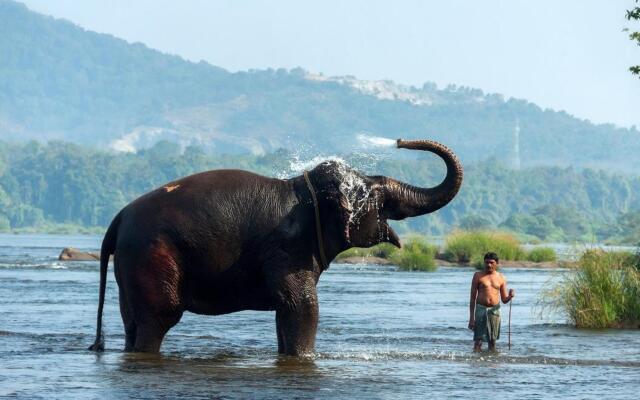 Elephant Pass Ayurveda and Yoga Retreat Resort Hotel