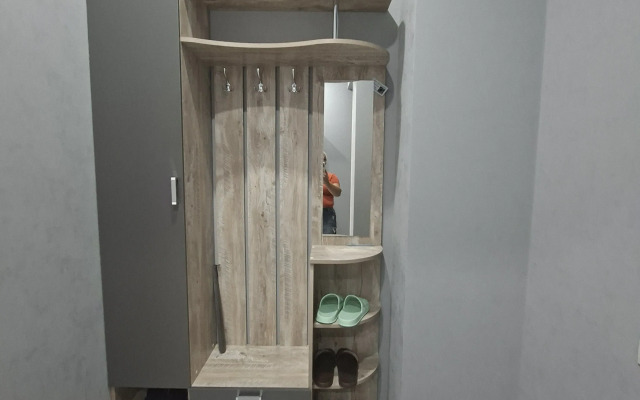 Uyutnaya V Tsentre Avtovokeal Pestova 5 Flat