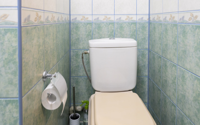 Апартаменты двухуровневые в тихом районе Амалиенау