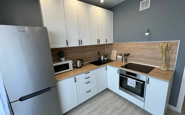 Sibir House Luxe naprotiv Moskovskoy ploshadi Apartments