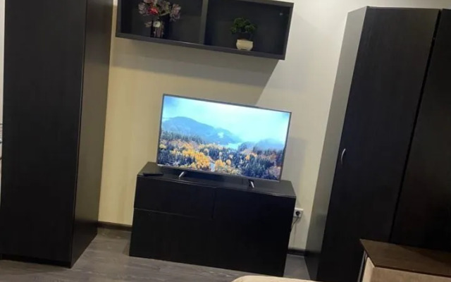 Квартира на Улице Льва Толстого 13