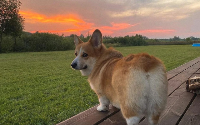 Коттедж просторный и уютный рядом с Коломной