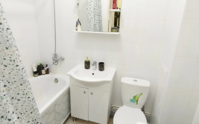 Semeynye S Balkonom Lesnaya Apartments