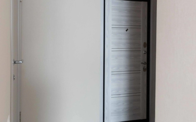Studiya Na Letchika Gritsevtsa Apartments