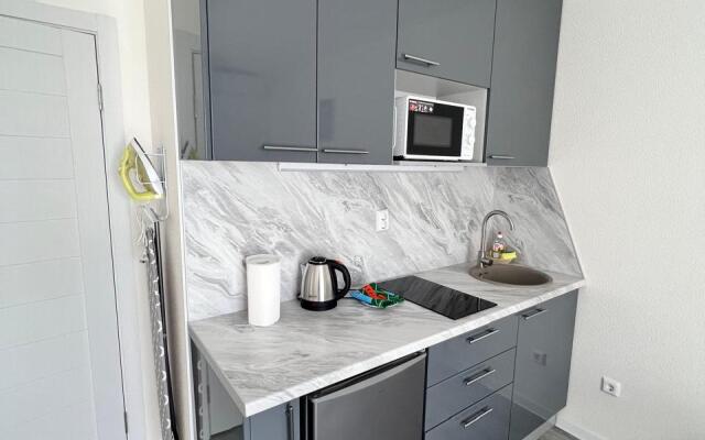 Uyutnaya Studiya U Rechnogo Vokzala Flat