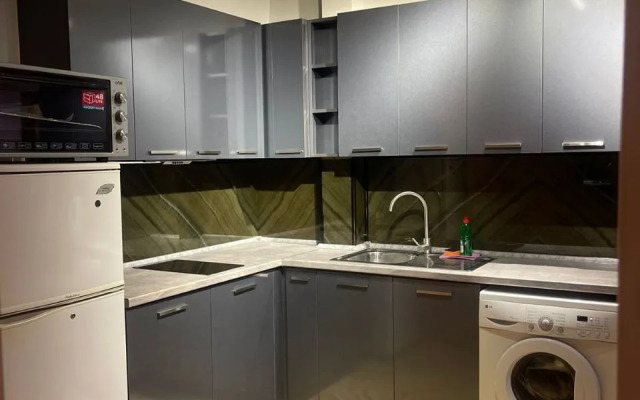 Perte House Apartment's on Pushkin 43 Street Apartments