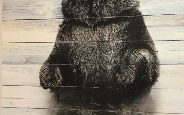 Три Медведя