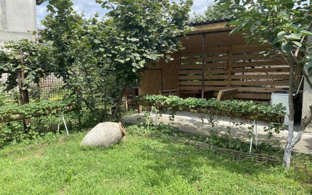 V Lagodekhi Guest House