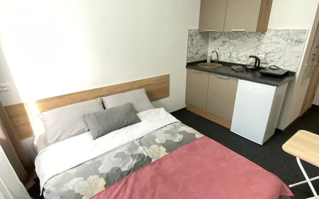 Apart-Otel Nizhniy Oranienbaum (208)