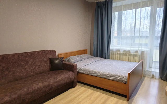 Severent na Dzerzhinskogo 3 Apartments