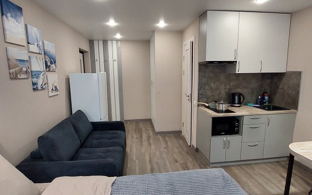 Sv Shveynikov studiya 1 Apartments
