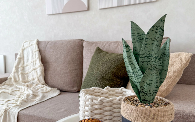 Studiya Beige Flat
