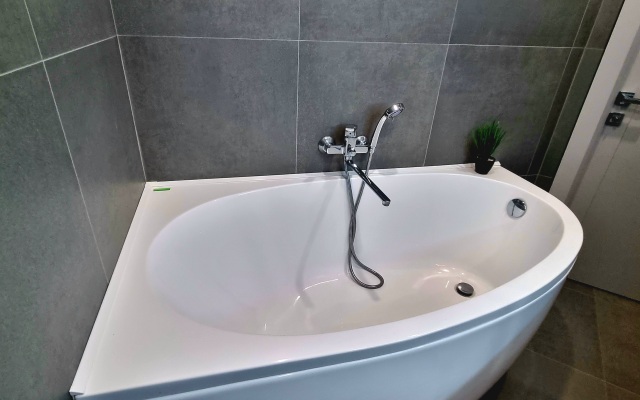 Апартаменты Евродвушка